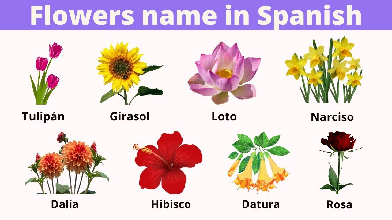 flowers in spanish 1758810328
