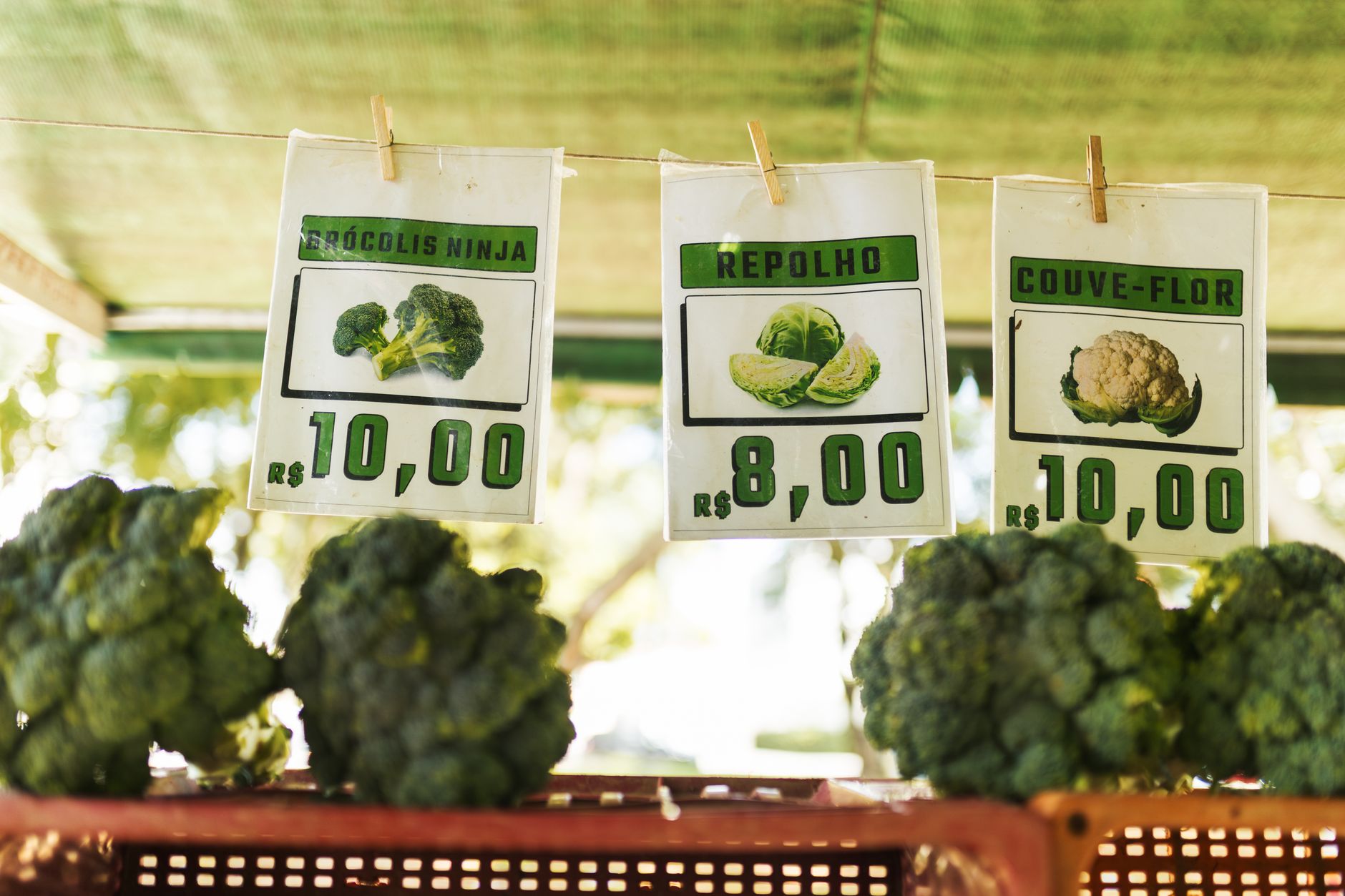 AI grocery price changes