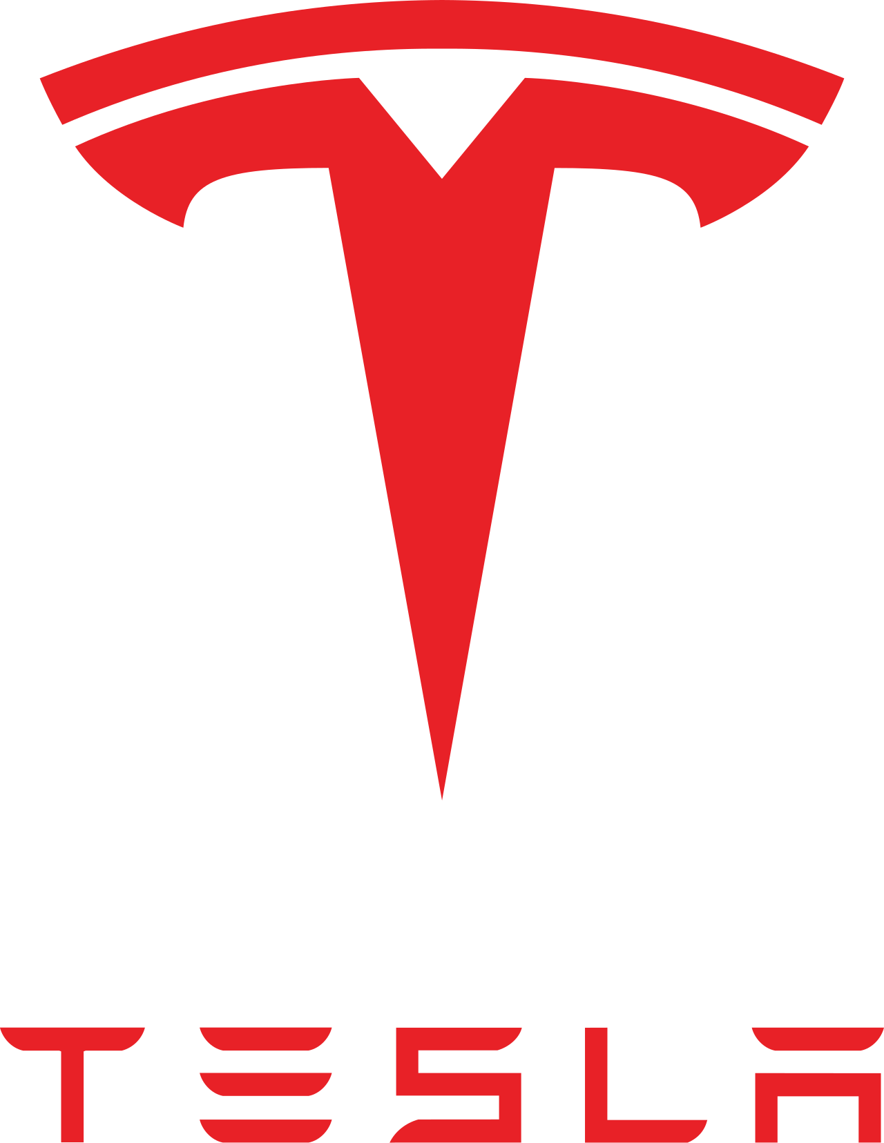 Tesla flying roadster